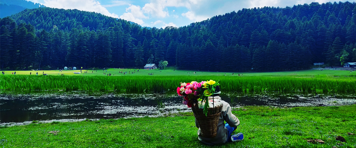 hotels in dalhousie